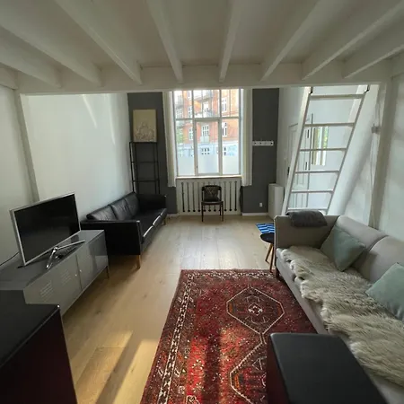 Rummelig Kobenhavnerlejlighed *